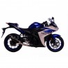 LV ONE CARBONE YAMAHA MT-25